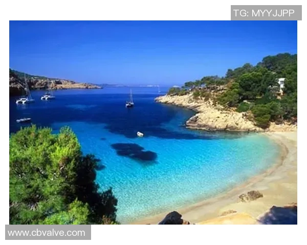 皇家马略卡携手CAEB共创辉煌开启巴利阿里群岛新纪元